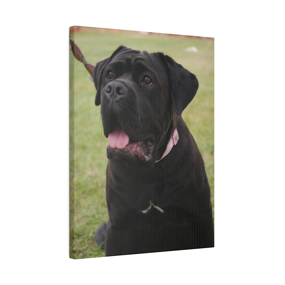 8x12 Photo Canvas Silm - PicCanvas